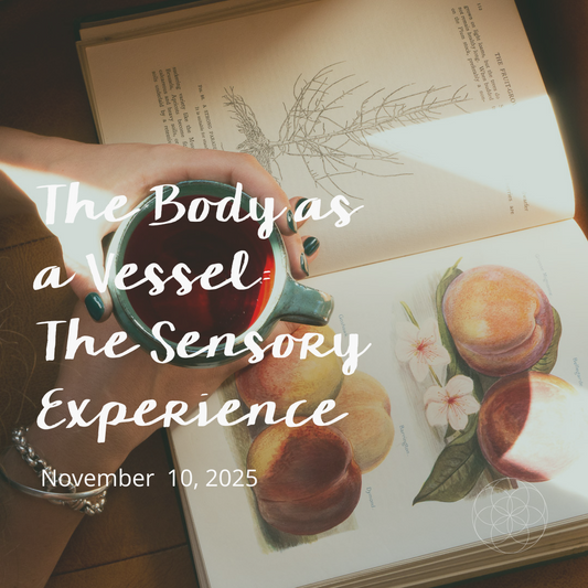 The Body as a Vessel: The Sensory Experience