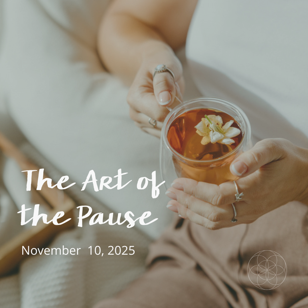 The Art of the Pause | A Quiet Invitation to Slow Down – Wild Seeds
