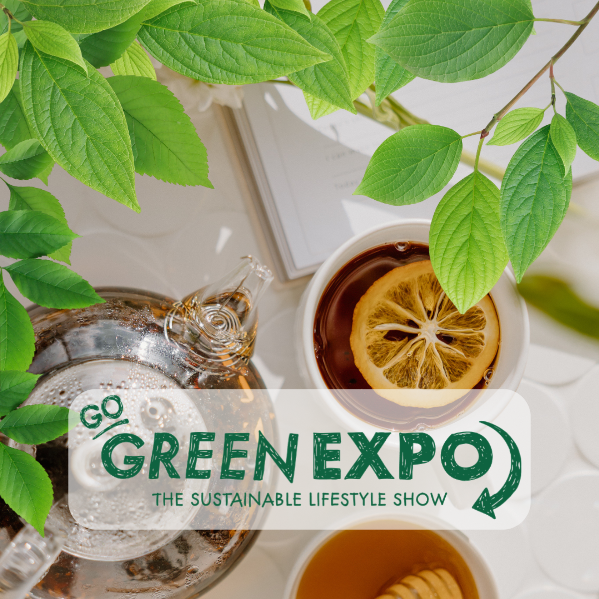 Wild Seeds at Go Green Expo