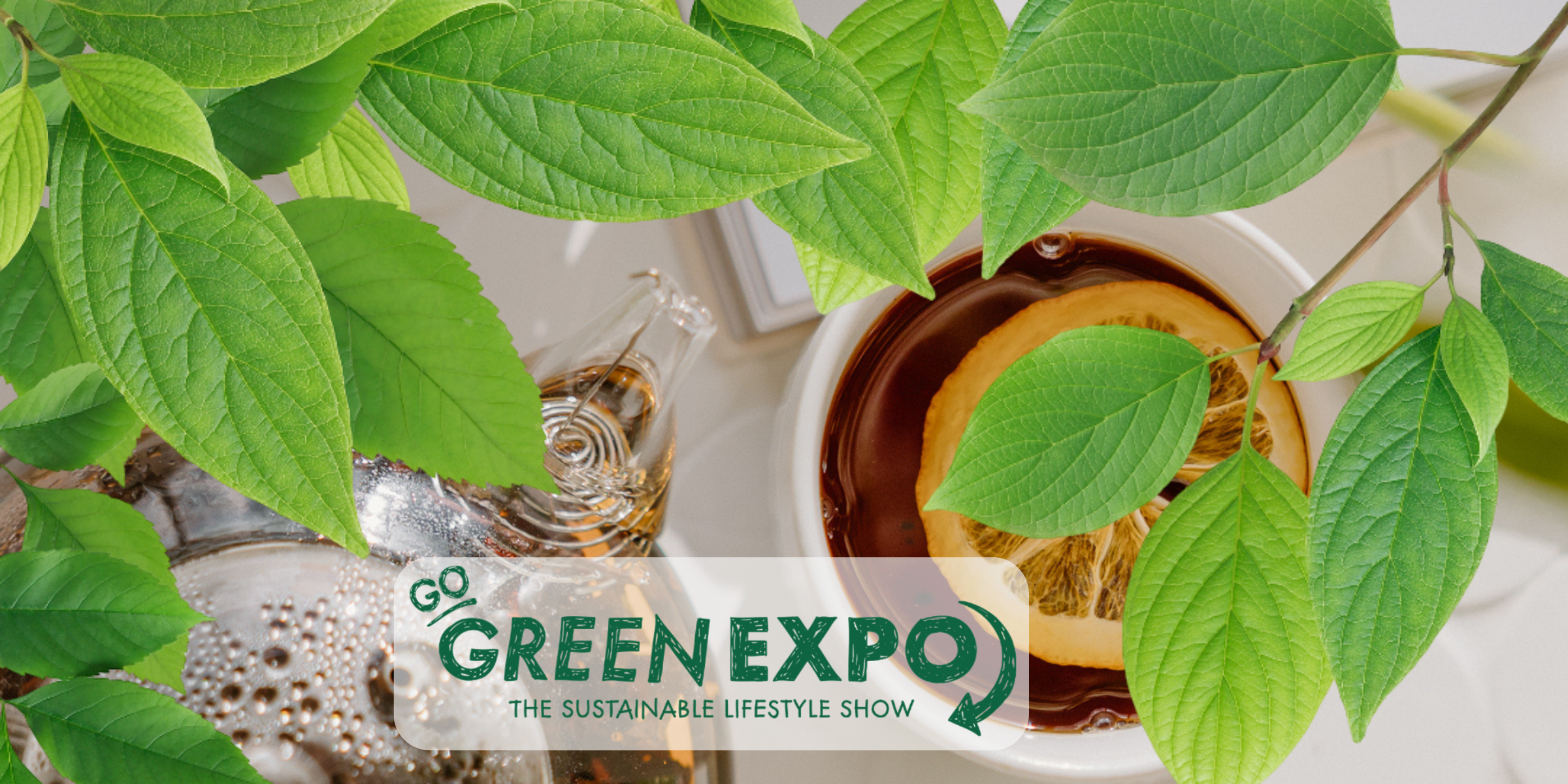 Wild Seeds at Go Green Expo