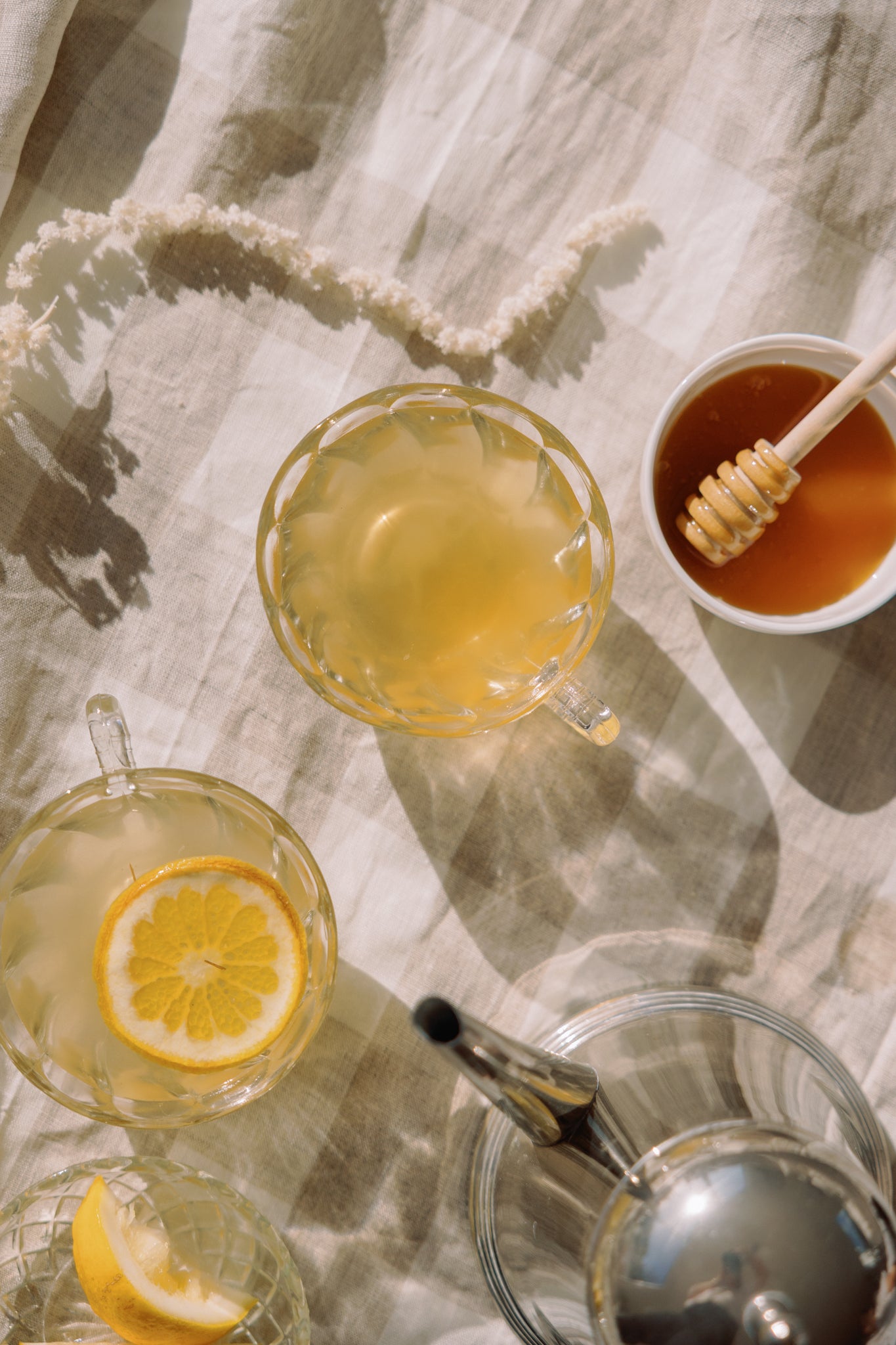 Lemongrass & Ginger Organic Loose Leaf Tea